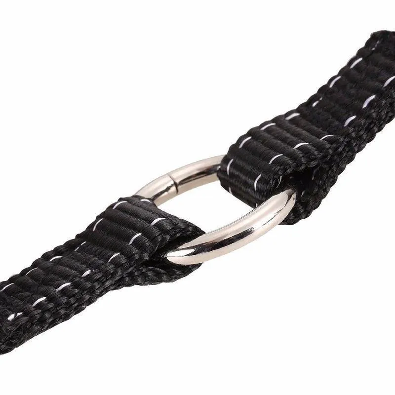 Bungee Nylon Reflective Double Dog Leash