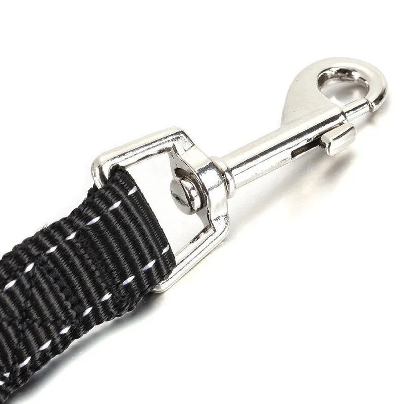 Bungee Nylon Reflective Double Dog Leash