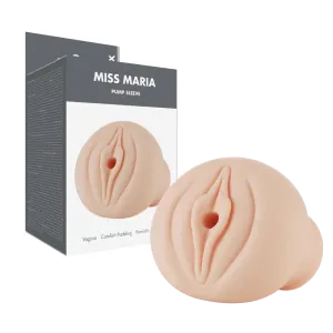 Linx Miss Maria Pump Sleeve Fle