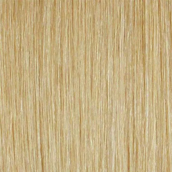 Mane Concept Red Carpet Synthetic Lace Wig - RCV204 VENECIA - Clearance