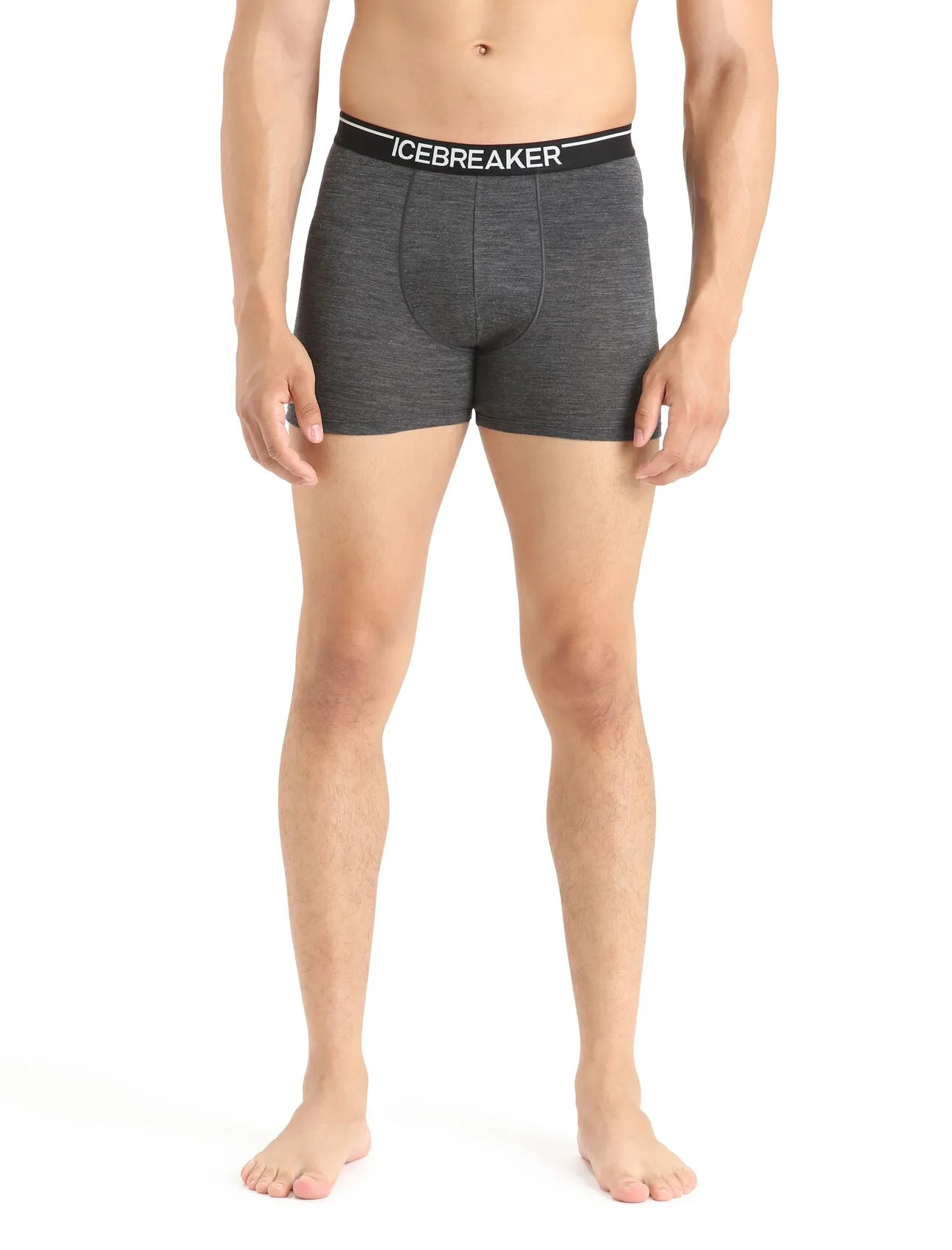 Merino Anatomica Boxers (Men's) - IB103029