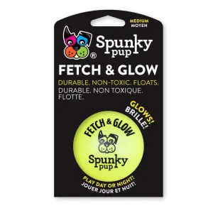Spunky Pup Fetch and Glow Balls