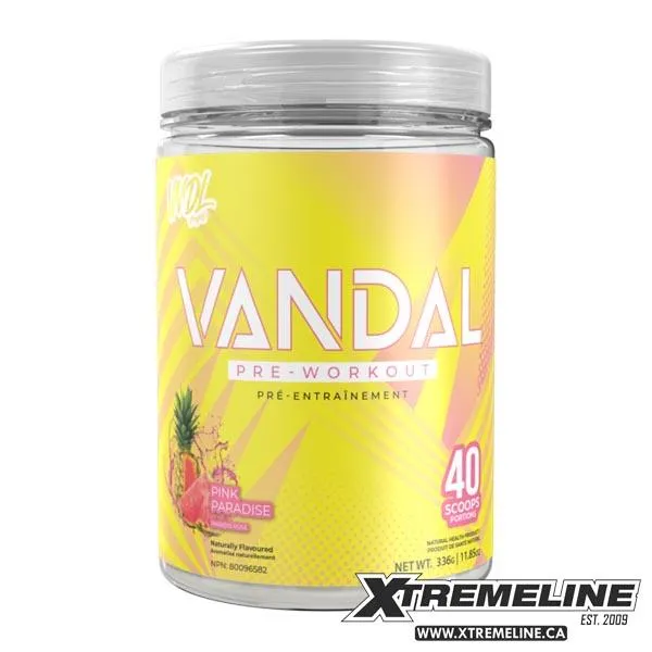 VNDL Project Vandal, 20/40 Servings