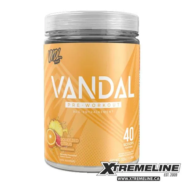 VNDL Project Vandal, 20/40 Servings